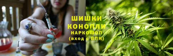 трава Михайловск