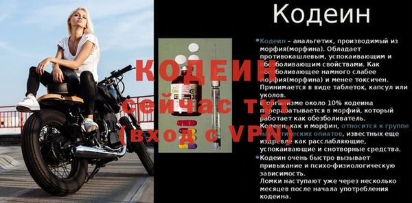 мдпв Михайлов