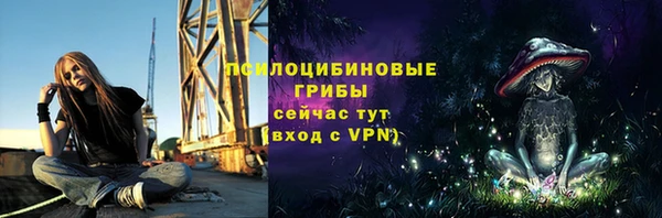 трава Михайловск