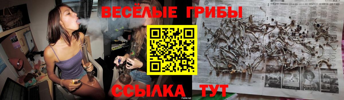 Галлюциногенные грибы GOLDEN TEACHER  Вход с VPN  Лысьва 